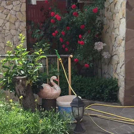 On Vjetrova Vendégház Odessza